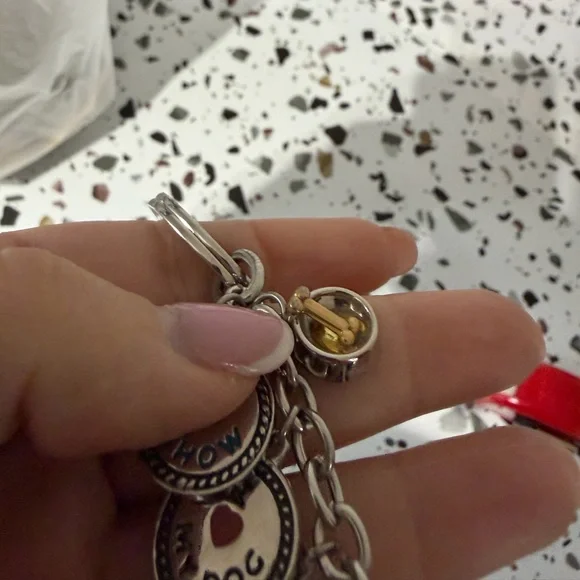 Silver Dog Charm Keychain - Picture 4 of 6